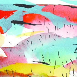 Death in a Shallow Pond by David Edmonds